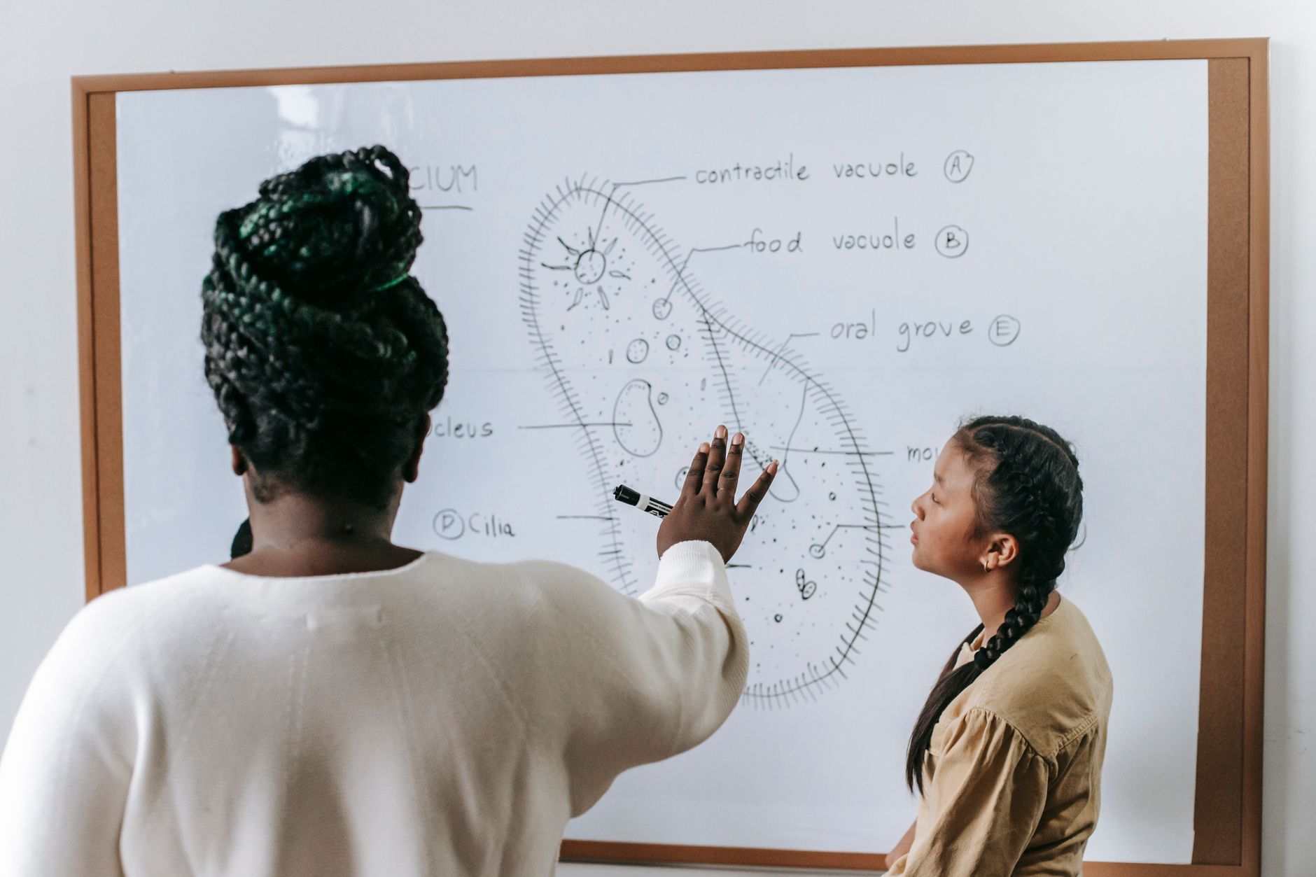 Black woman teaching teen pupil while telling about structure of Infusoria on whiteboard
