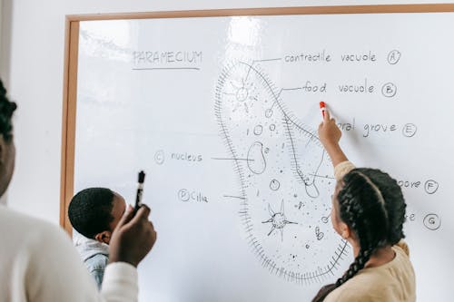Free Diverse pupils and teacher studying parts of primitive organism Stock Photo