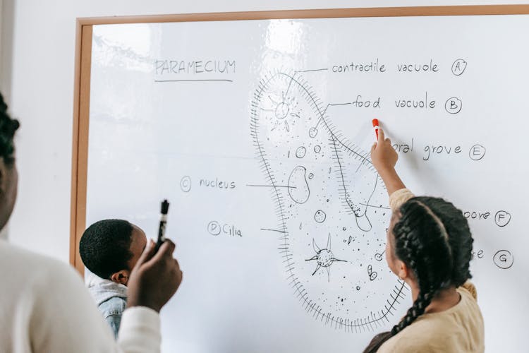 Diverse Pupils And Teacher Studying Parts Of Primitive Organism