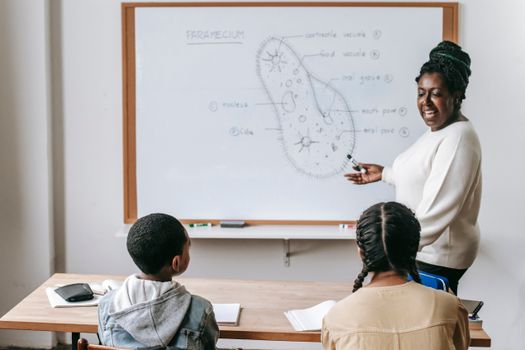 Happy experienced African American teacher showing scheme of Infusoria on whiteboard to young students