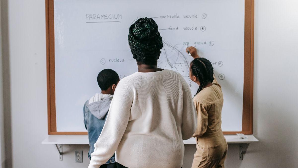 Débouchés professionnels dans léducation