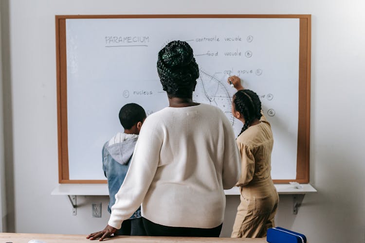 Black Teacher With Pupils Studying School Subject