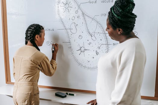 A student writes on a whiteboard with a teacher observing during a biology class.