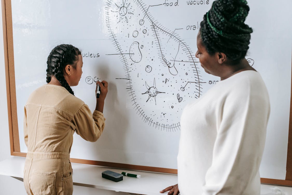 Free Black woman teaching ethnic girl in school Stock Photo