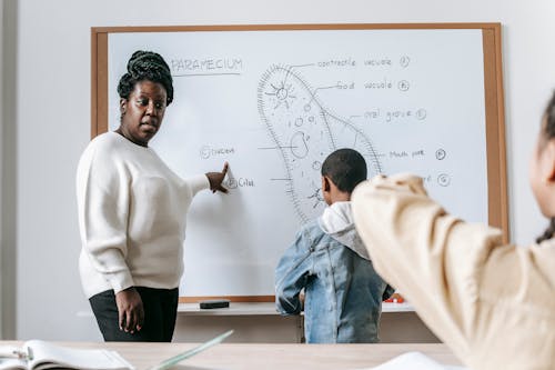 African American female teacher pointing on whiteboard while explaining lecture to classmates during lesson
