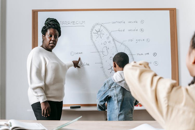 Black Woman Explaining Material To Students