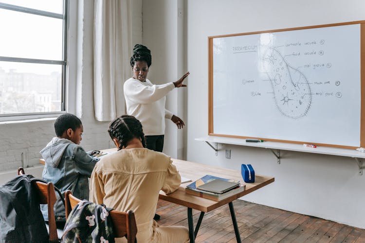 Concentrated Black Woman Explaining Lecture To Students