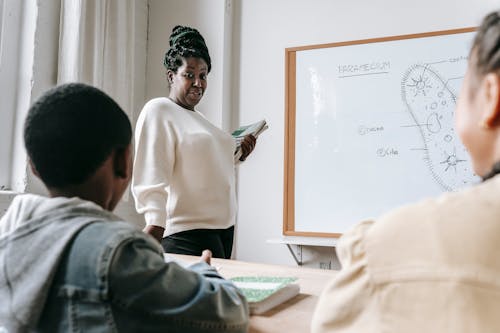 African American female teacher standing near whiteboard and explaining scheme to pupils during lesson in school