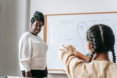 Attentive African American woman standing near whiteboard while explaining scheme to schoolgirl during lesson