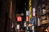 Illuminated Signs in Alley in Tokyo, Japan at Night