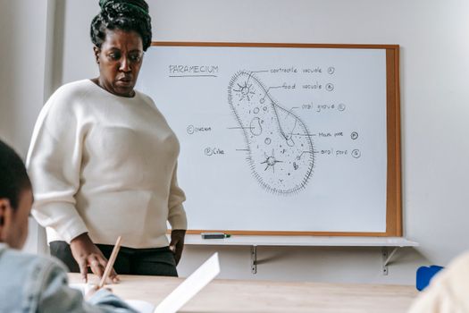 Serious African American female teacher standing near desk and explaining information during biology lesson