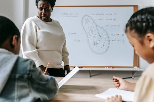 Crop serious woman explaining task to pupils