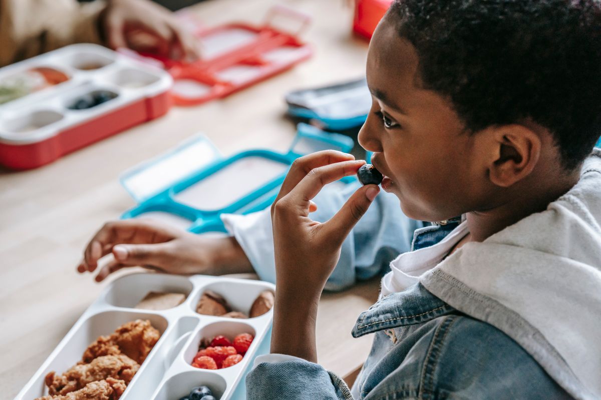 Gesunde Lunchbox-Rezepte für Kinder: 7 Familien-Alltagsideen — Zutaten-Übersicht