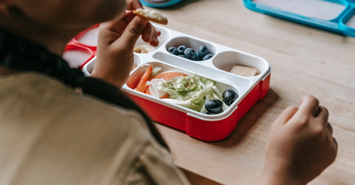 政治:新北免費營養午餐倡議表面上可行,卻隱藏哪些評估挑戰?