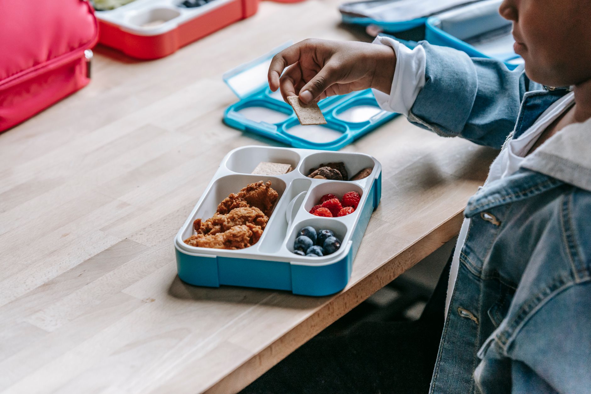 Best Bento Box Lunch Containers (2026)