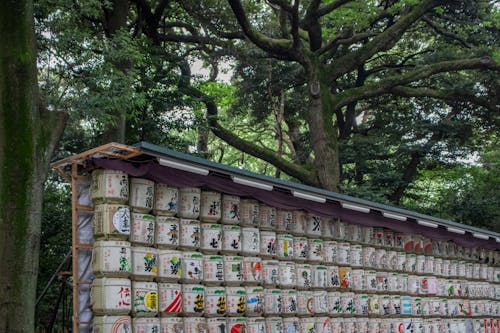 Kostenloses Stock Foto zu japan, natur, tokio