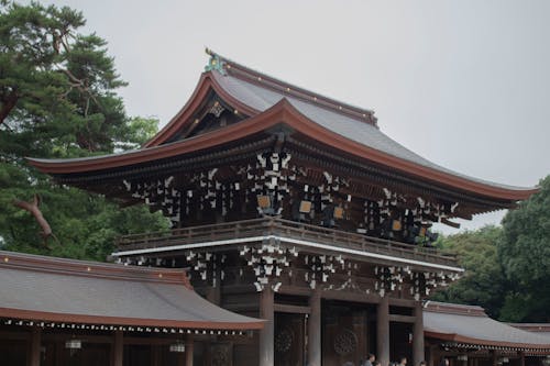Free stock photo of japan, jingu, shrine