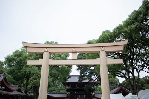 Kostenloses Stock Foto zu bäume, japan, natur
