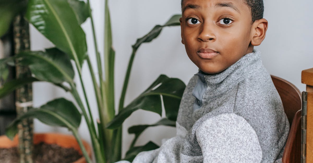 How do I save an email as a PDF in Outlook web app