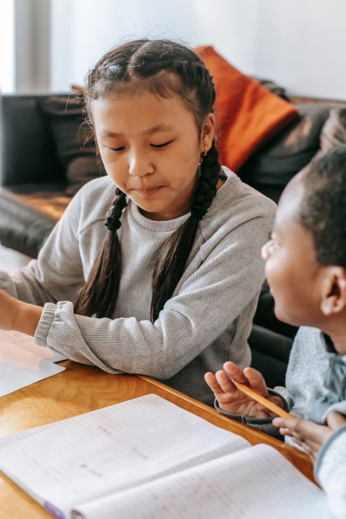 Free Concentrated Asian girl helping African American boy do homework while sitting together at wooden table Stock Photo