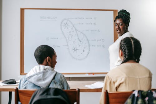 Free Back view of diverse children at desk listening to black female teacher at whiteboard during biology lesson Stock Photo