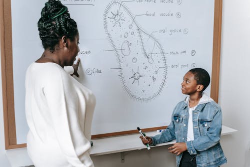 Black teacher with boy at whiteboard