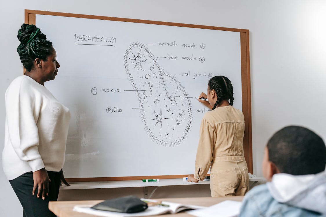 Free African American woman at whiteboard watching girl doing task with Ciliate cell structure in classroom Stock Photo