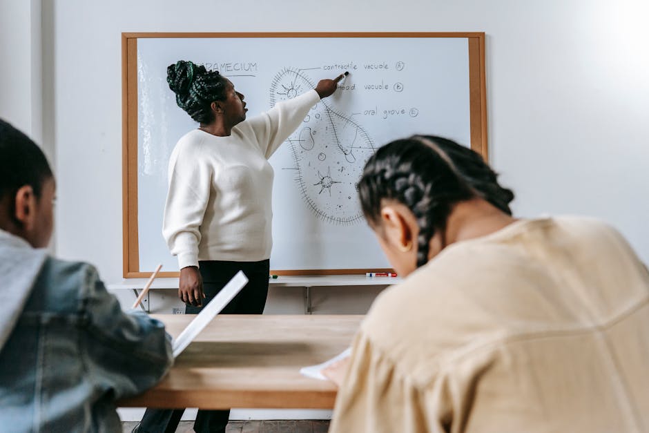 Content black math teacher talking to diverse pupils · Free Stock Photo