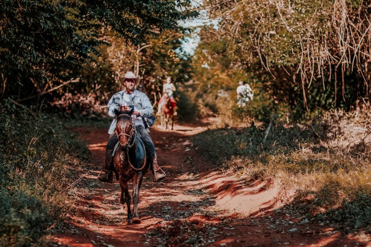 Young Man Riding Horse In Sunny Forest