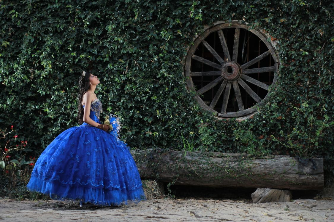 Kostenloses Foto zum Thema: abendkleid, abschlussball, ballkleid, baum  protokoll, blaues kleid, blumen, dramatisch, drauen, efeu, efeu wand,  efeubelag, efeubltter, einzigartiger hintergrund, elegant, eleganz,  fashion, formelle kleidung, fototermin ...