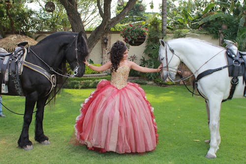 Free Woman in Gown with Two Horses Stock Photo