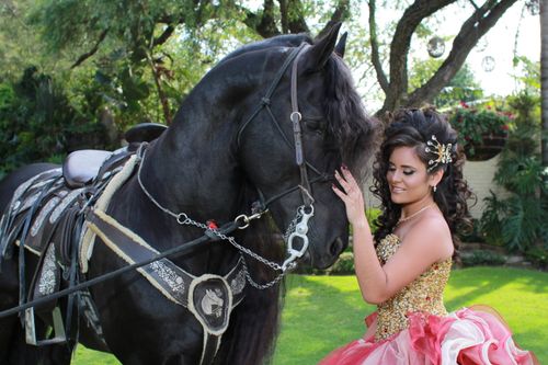 Free A young woman in a formal dress lovingly touches a black horse in a lush garden setting. Stock Photo