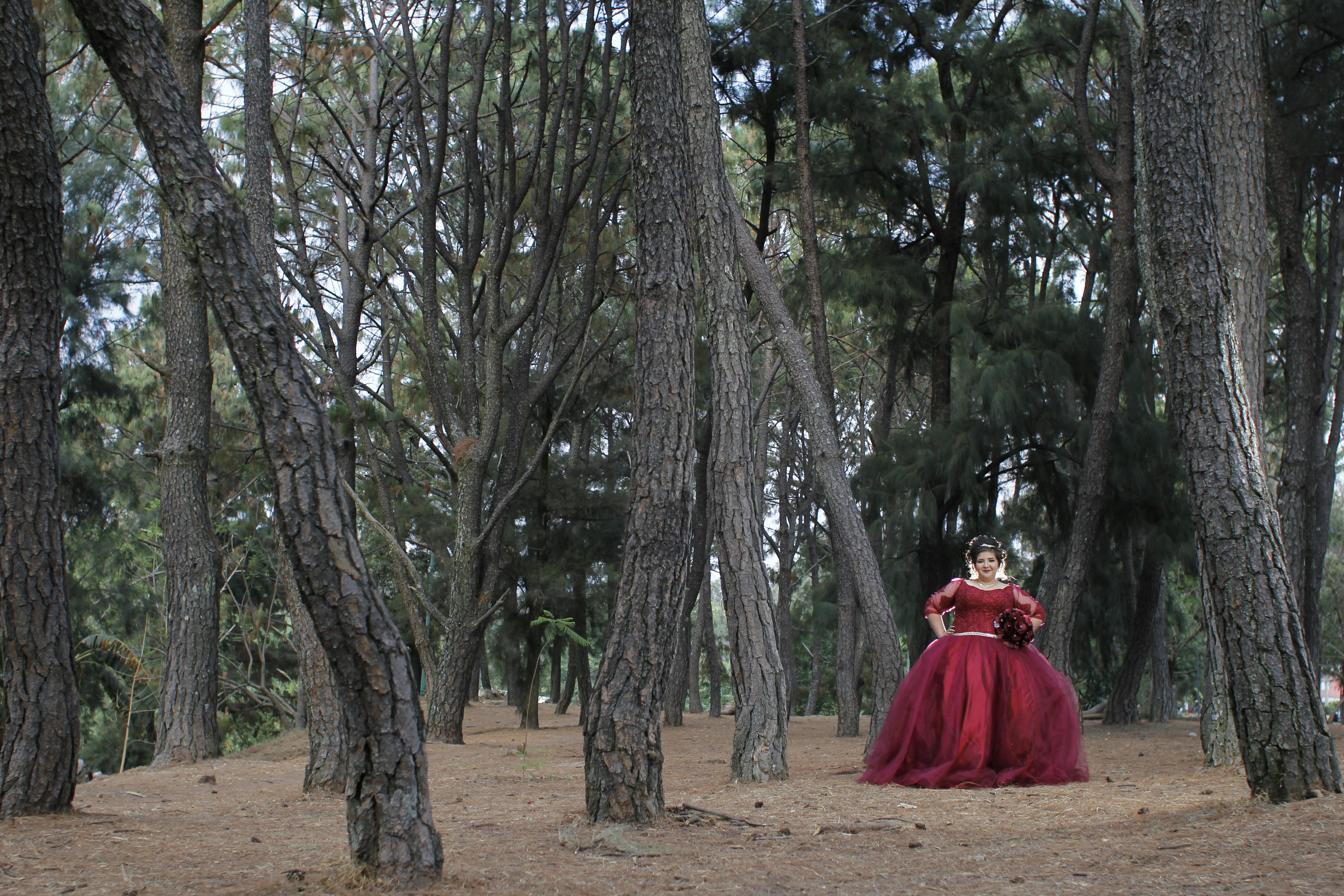 Bridesmaid in Red Dress Standing in Forest · Free Stock Photo