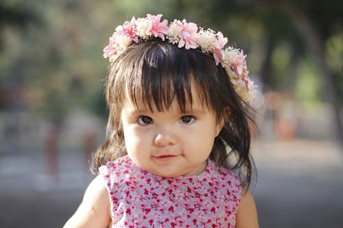 Gratis Fotos de stock gratuitas de adorable, bonita, flores Foto de stock