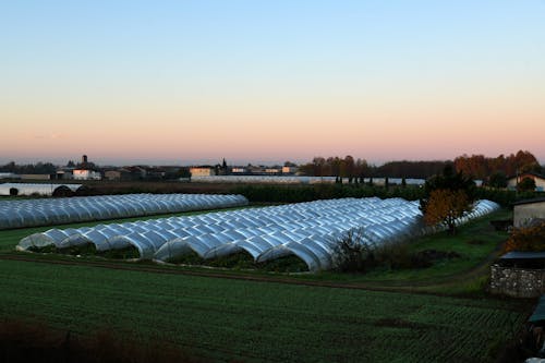 Farm Land Covered with Plastic