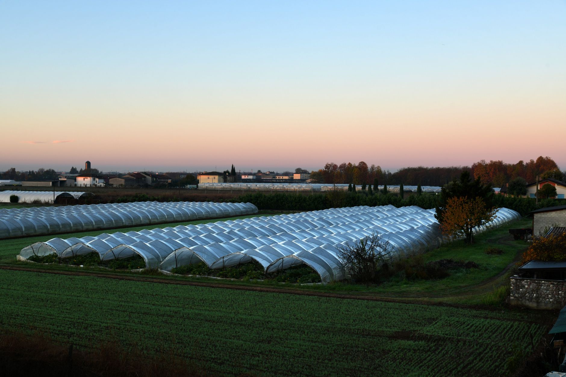 La Farm e il suo futuro nell'Azzas
