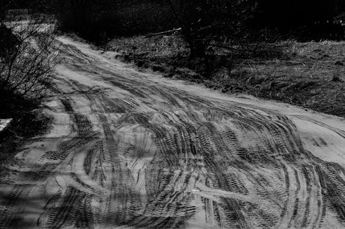 Black and white of narrow roadway with curved traces near dry shrub in daytime