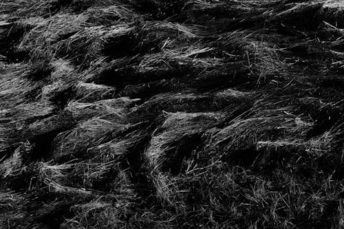 Abstract backdrop of grass on meadow in evening