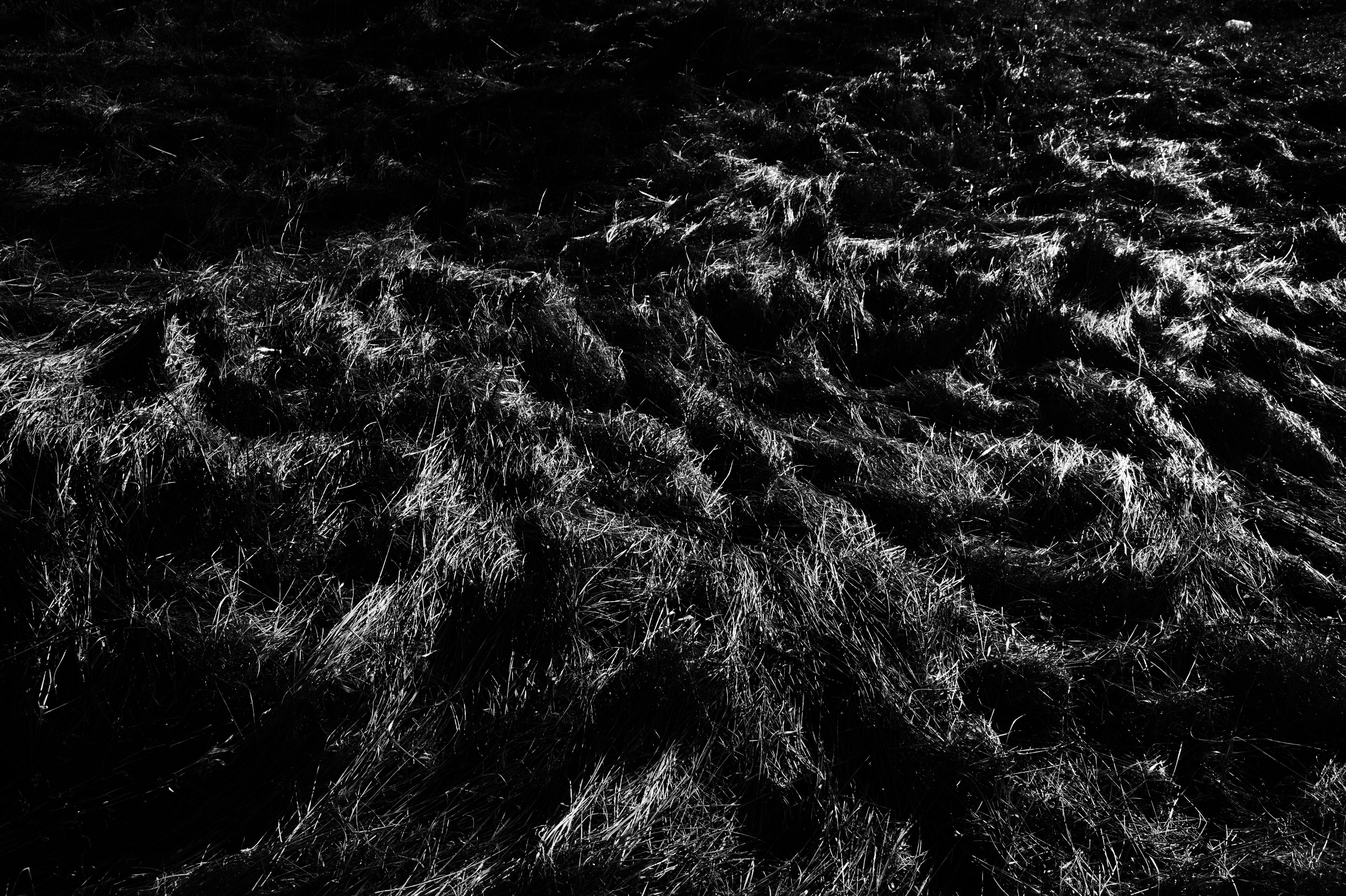Grayscale Photo of Textile · Free Stock Photo