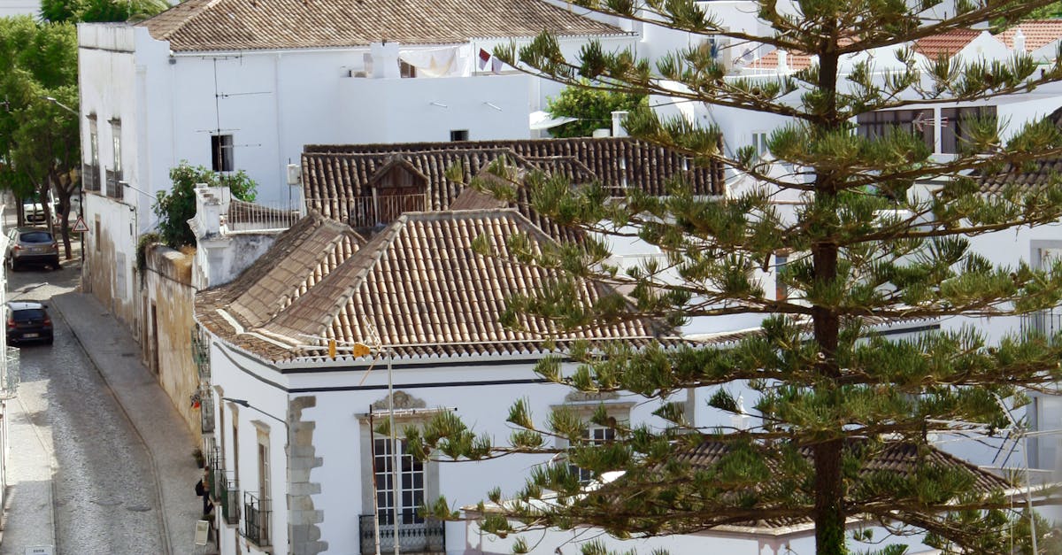 Free stock photo of portugal, roofs, street
