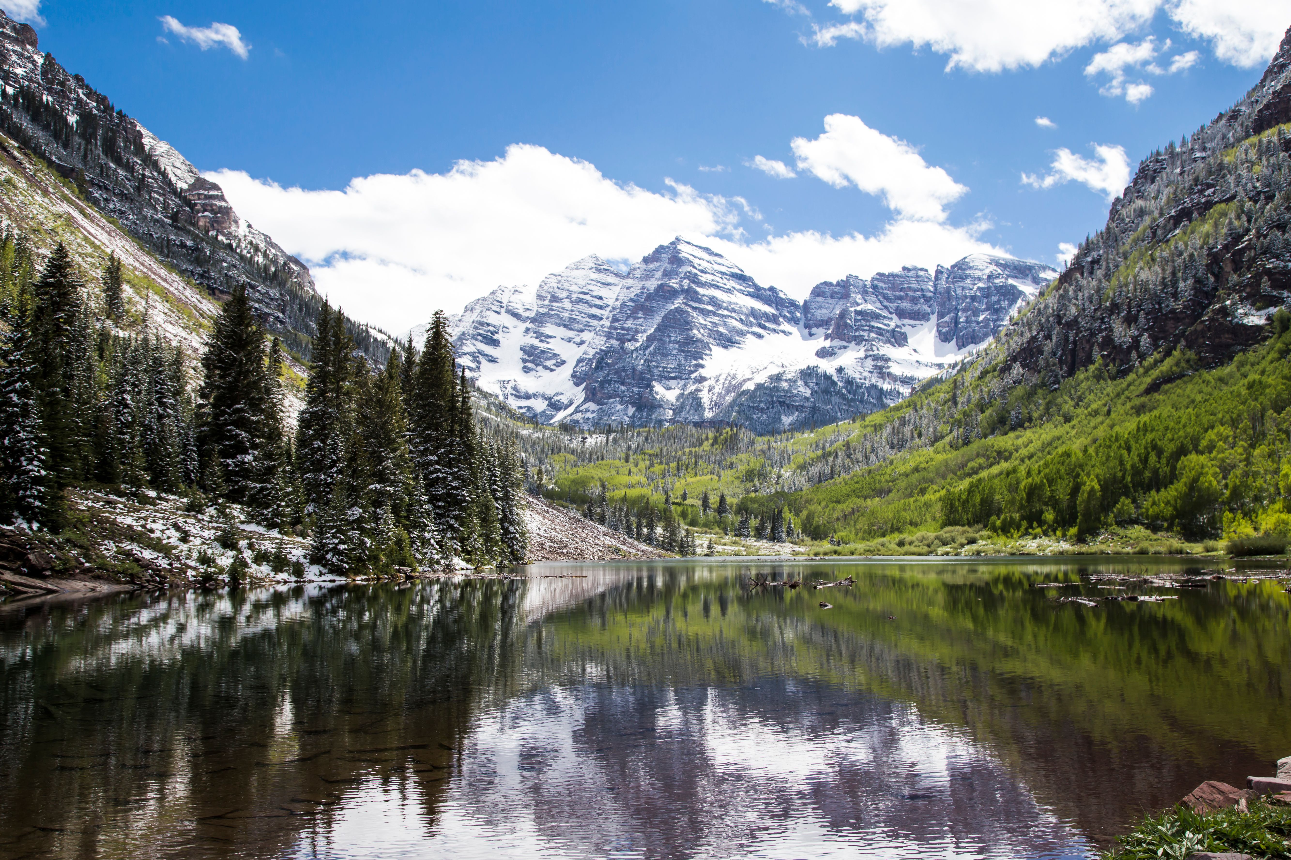 Green Pine Trees Near Lake and Snow Covered Mountain · Free Stock Photo