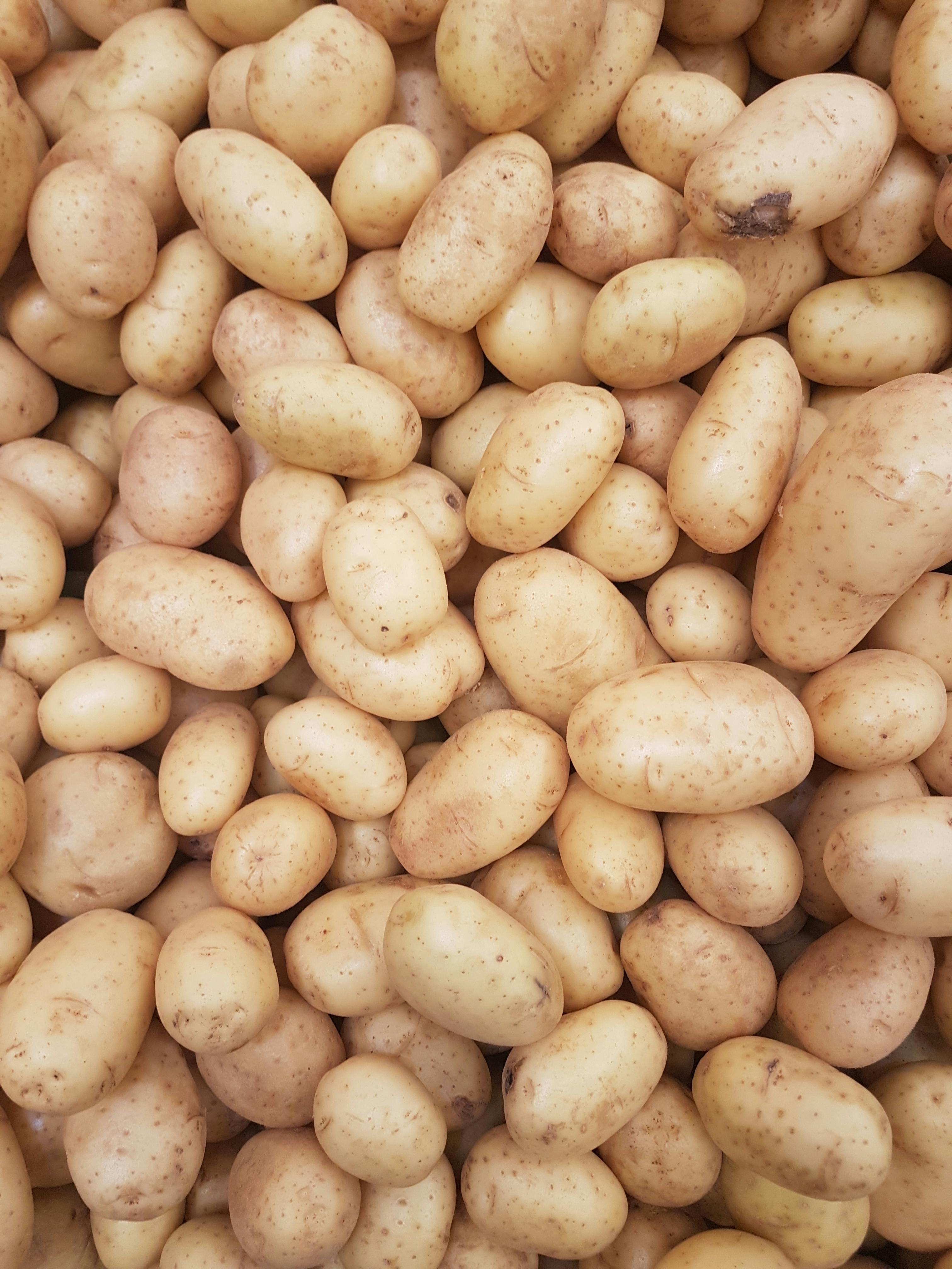 Free stock photo of potatoes