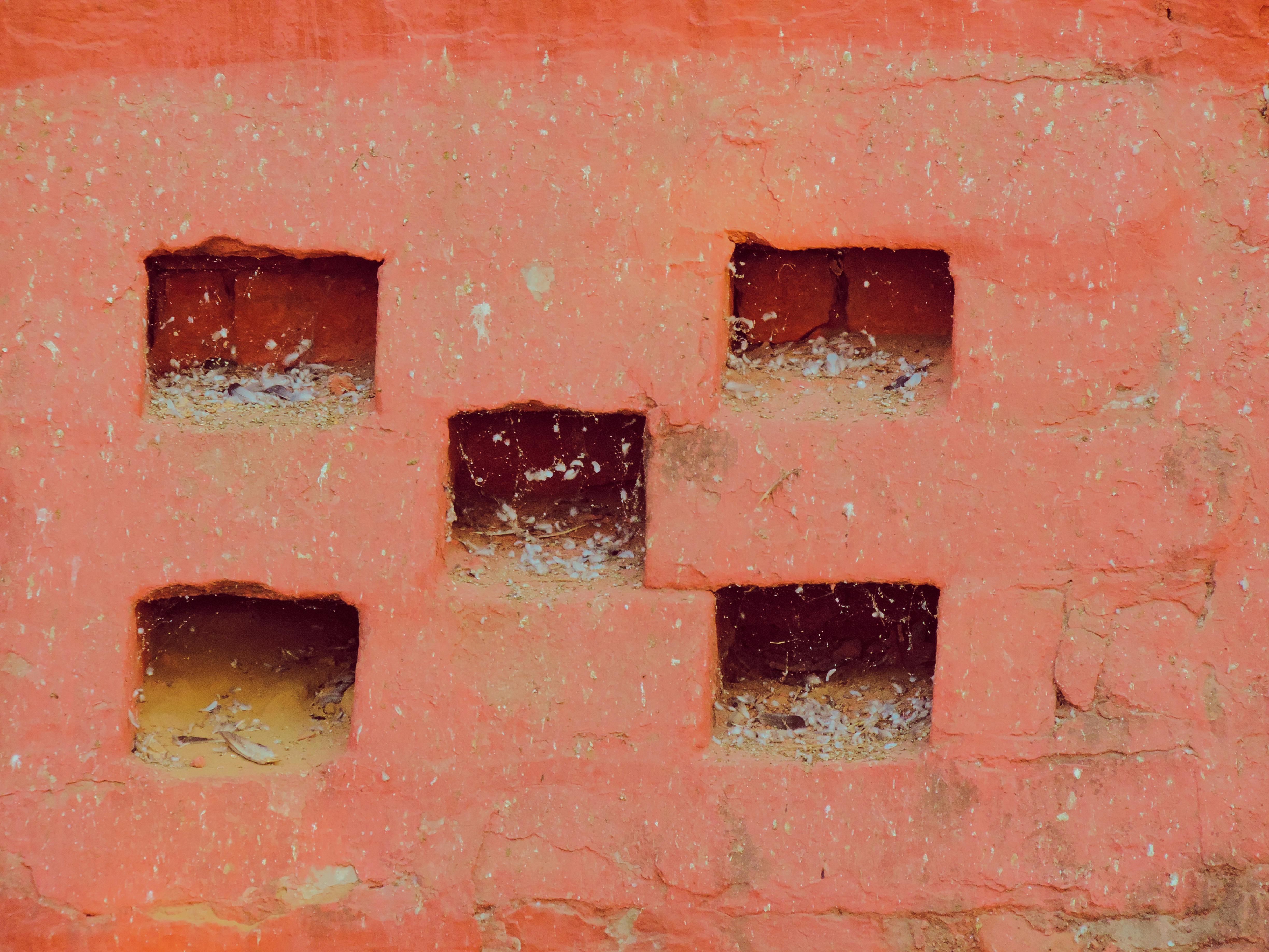 Seedling & Root Bags