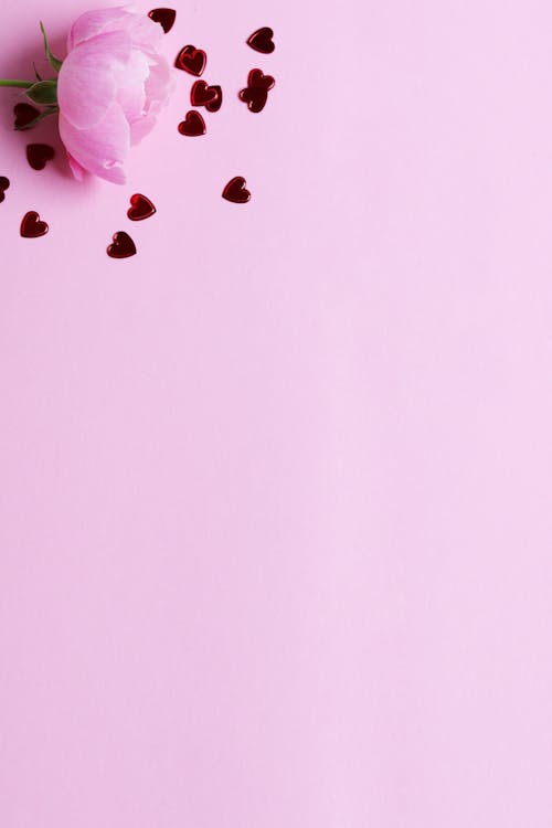 粉色和白色蝴蝶墙装饰