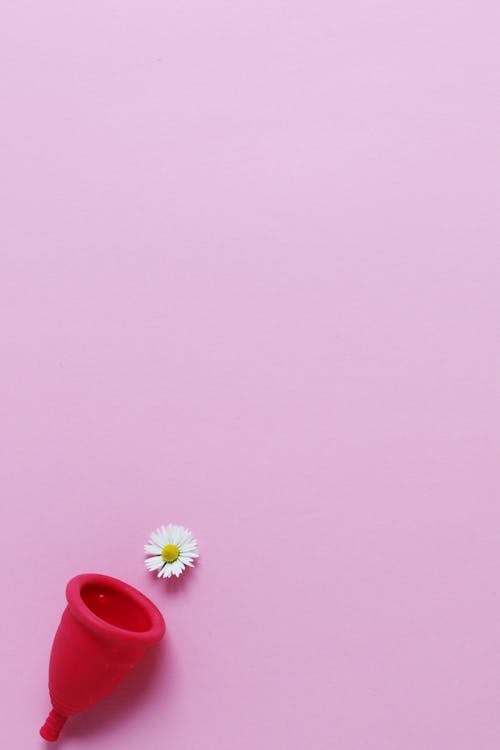 Menstrual Cup with a Daisy 