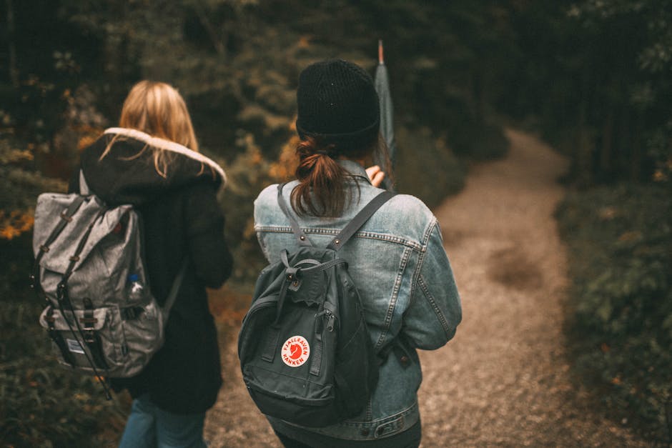 backpack, environment, forest