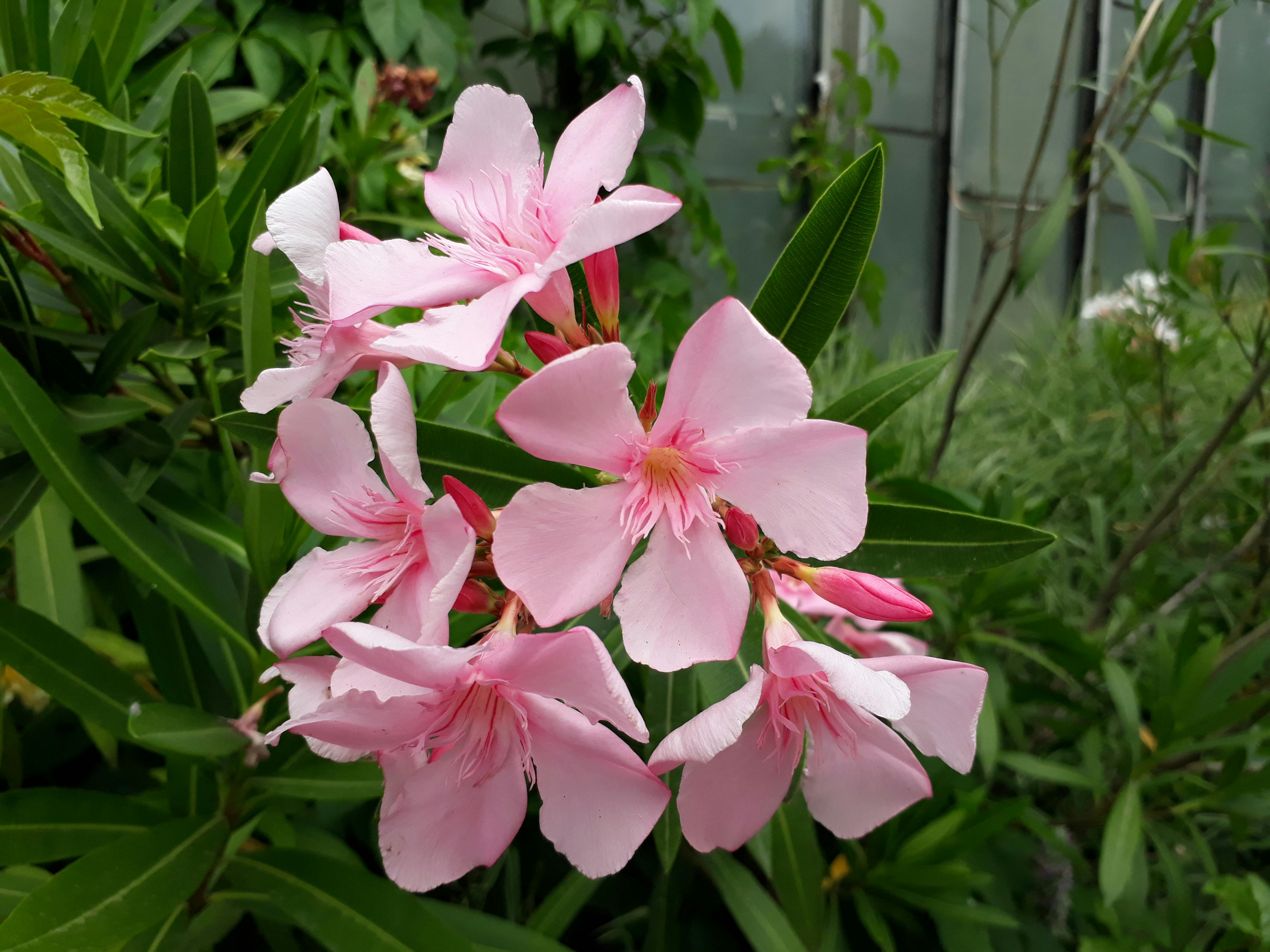 Registered dietitian and patient reviewing a gut-friendly eating plan
