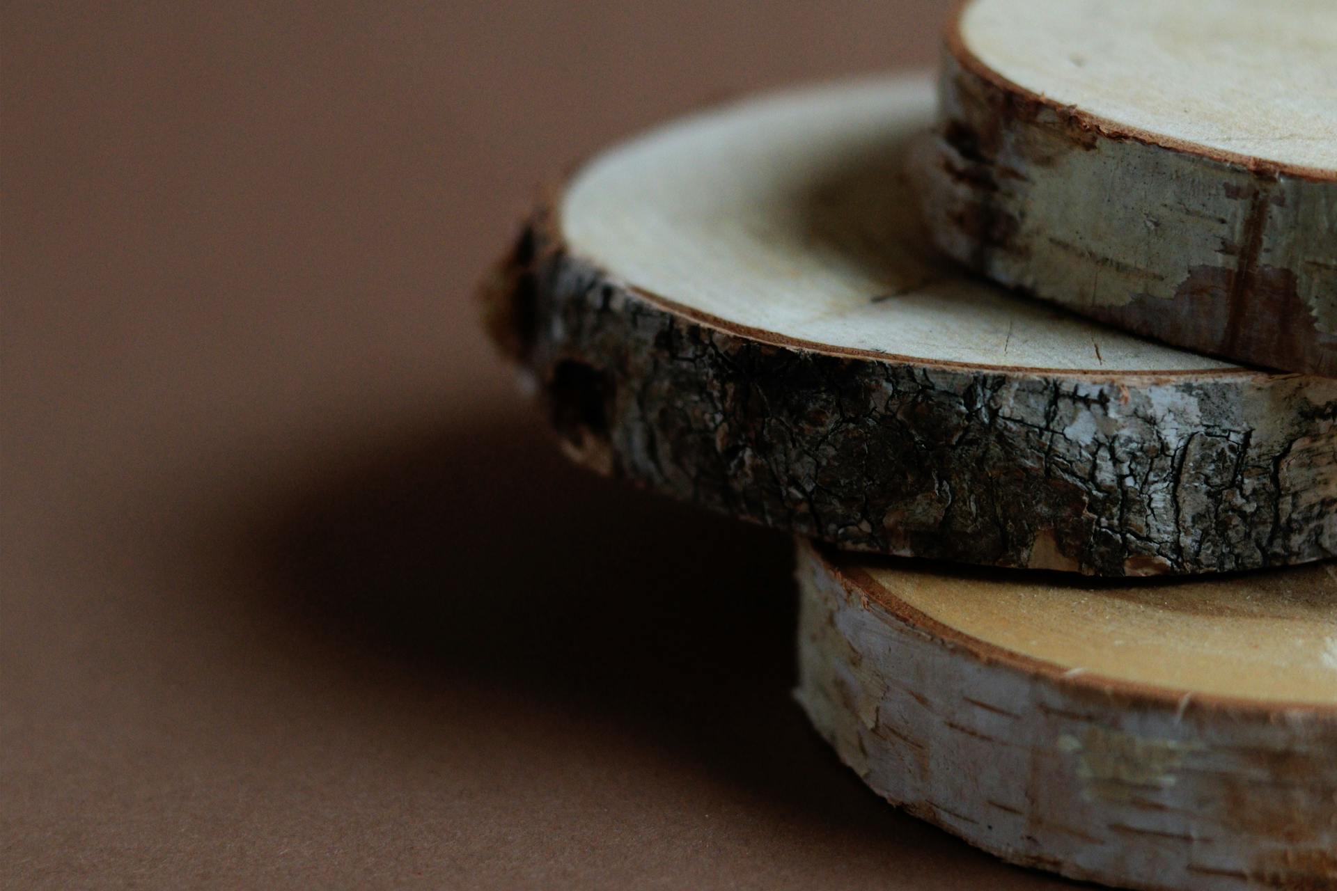 Close Up Shot of Chopped Wood Logs