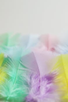 Soft colorful pastel feathers arranged to create a vibrant and artistic background texture.