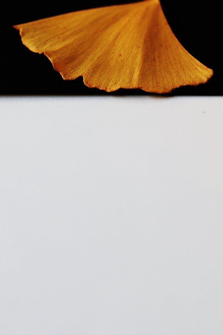 Yellow Leaf On Black And Gray Background 